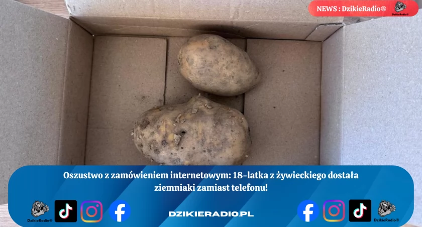 Niechciana „dostawa” – dwa ziemniaki zamiast nowego telefonu