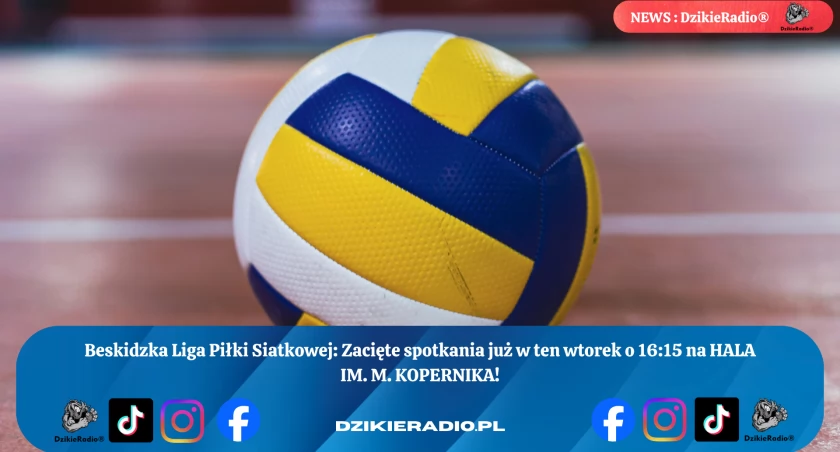Beskidzka Liga Piłki Siatkowej: Młodzi, ambitni, pełni energii! 