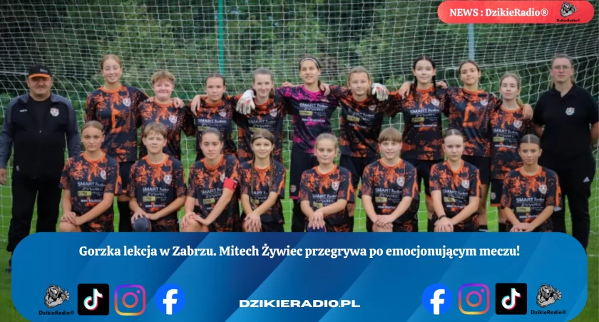 Górnik Zabrze za mocny. Mitech wraca bez punktów