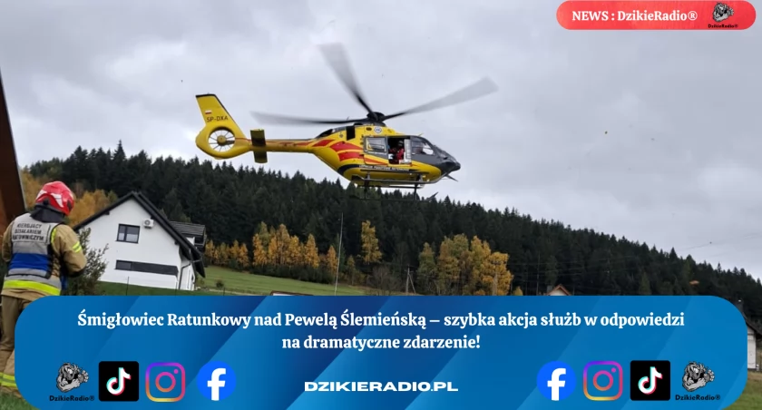 Interwencja Ratunkowa w Pewli Ślemieńskiej: Szybka pomoc OSP i LPR na ulicy Krakowskiej