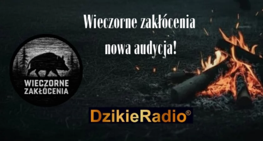 Wieczorne zakłócenia - start nowej audycji już 5.11!