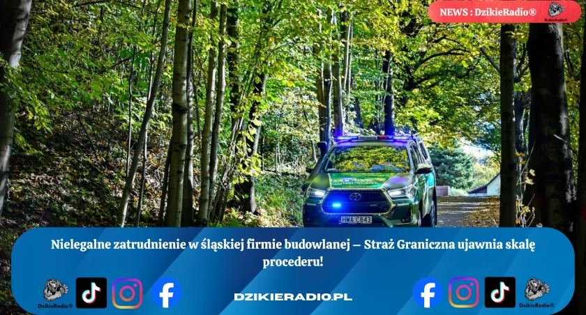 Funkcjonariusze zakończyli kontrolę zatrudnienia w firmie budowlanej - alarmujące wyniki!