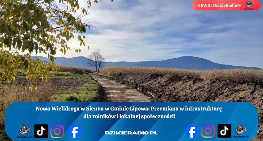 Nowa Droga W Siennej: Wielidroga - Innowacyjna Inwestycja Zmienia Krajobraz.