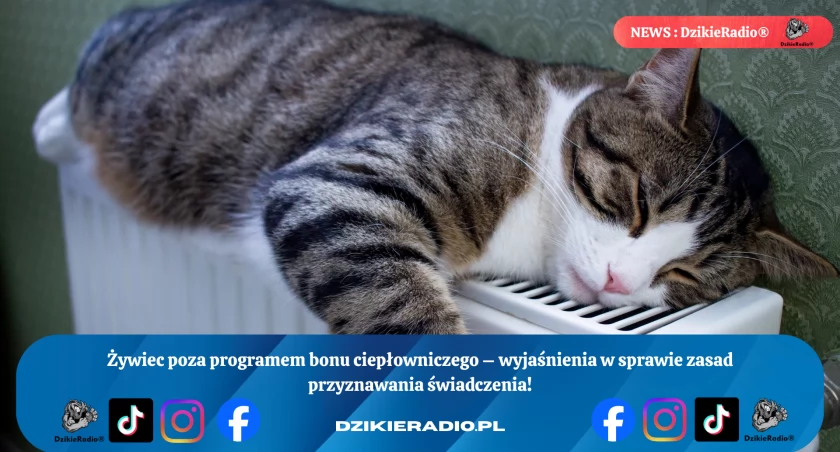 Bon ciepłowniczy w Żywcu: Aktualne stawki i kto może się ubiegać o to wsparcie