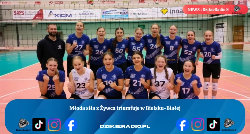 Młode siatkarki ze Żywca w znakomitej formie!