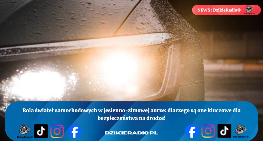 Widoczni znaczy bezpieczni – rola świateł w jesienno-zimowej aurze