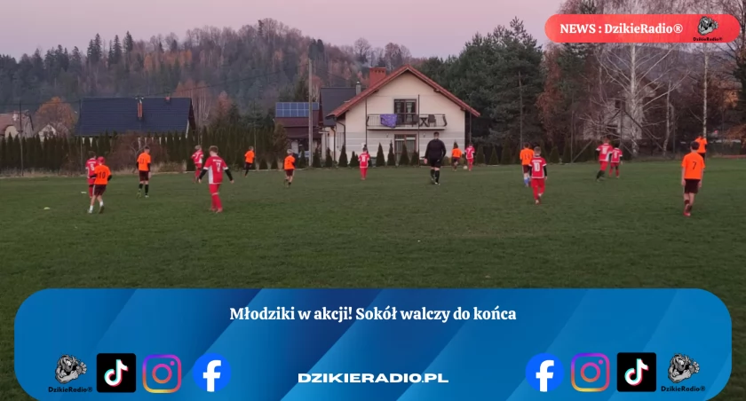 Młodzi Sokołowie pełni determinacji mimo porażki na wyjeździe - relacja z meczu z TS United Wieprz