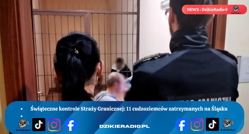 Kontrole Cudzoziemców w Śląskim Weekend - Zatrzymano 11 Osób, Decyzje Administracyjne Wydane - Bielsko-Biała, Katowice, Rybnik 