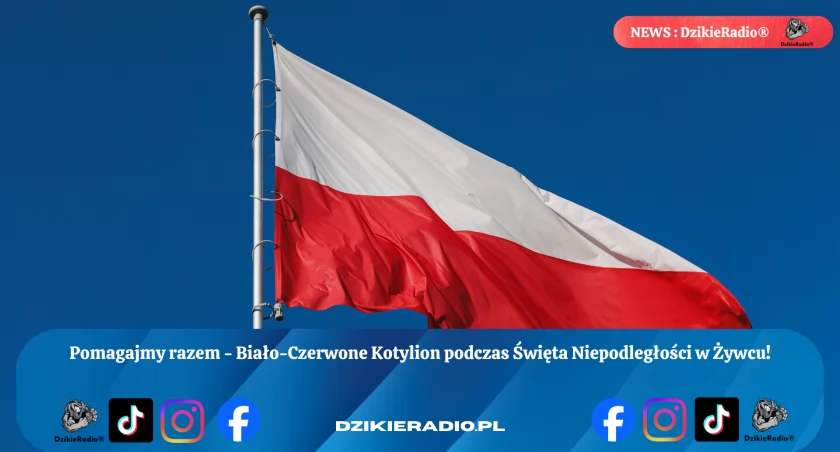 Wolontariusze z Żywieckiego Centrum Wolontariatu rozdają piękne kotyliony podczas obchodów Święta Niepodległości w Żywcu - dołącz do akcji!