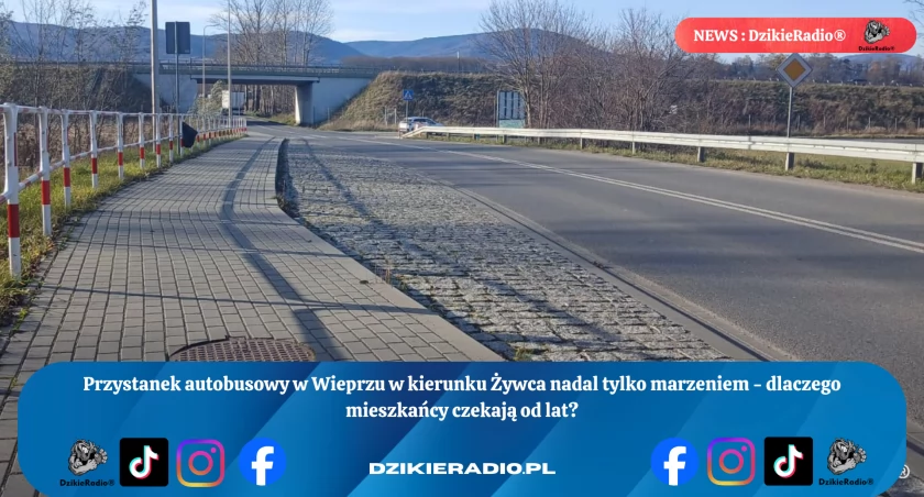 Niekończąca się podróż po przystanek. Mieszkańcy Wieprza wciąż czekają na autobus w stronę Żywca