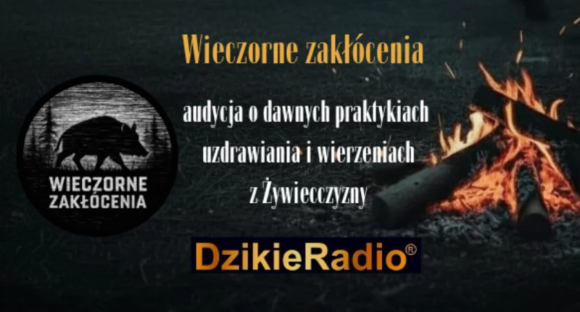 Wieczorne Zakłócenia – audycja o dawnych praktykiach uzdrawiania i wierzeniach z Żywiecczyzny