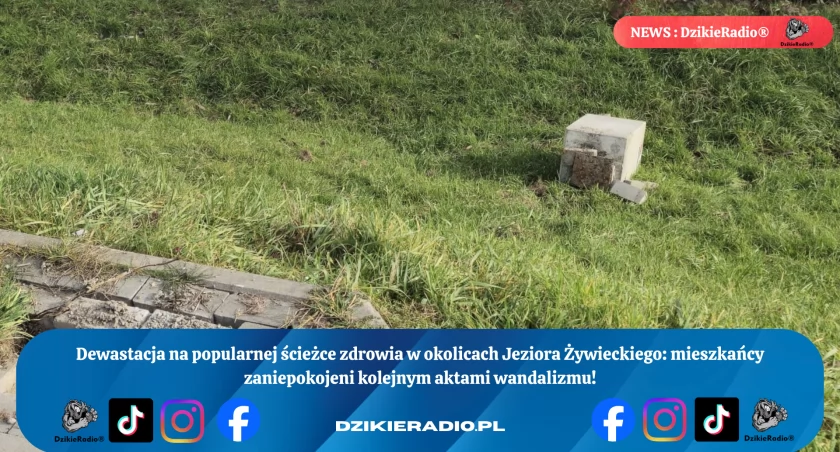 Kolejny Cios w Przestrzeń Publiczną nad Jeziorem Żywieckim