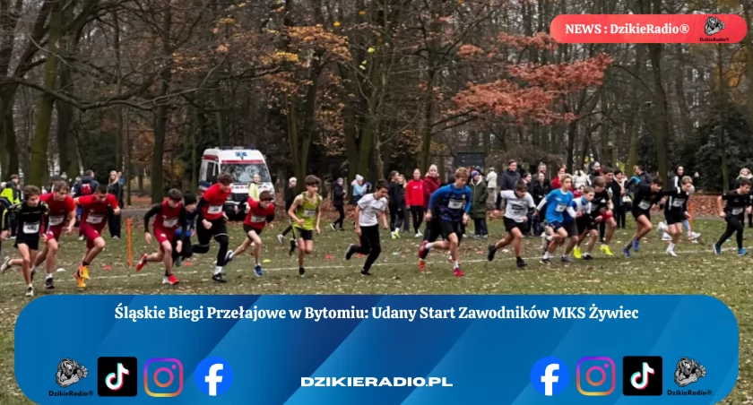 Śląskie Biegi Przełajowe w Bytomiu: Udany Start Zawodników MKS Żywiec