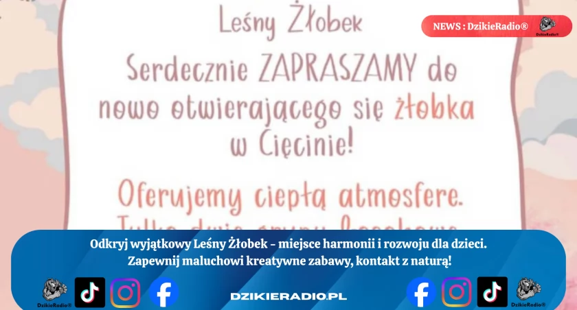 Odkryj magię Leśnego Żłobka w Cięcinie w Gminie Węgierska-Górka  - miejsce, gdzie dzieci rozwijają się w zgodzie z naturą!