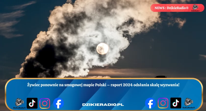 Żywiec w Czołówce, Lecz Walka o Czyste Powietrze Wciąż Trwa