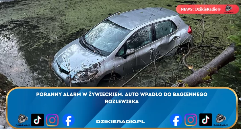 Wypadek drogowy w Sopotni Wielkiej - dramatyczna interwencja służb ratunkowych o poranku