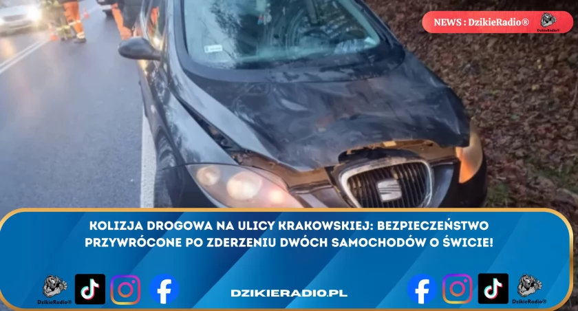 Poranne zderzenie na Krakowskiej: kierowcy zderzyli się z dziką zwierzyną