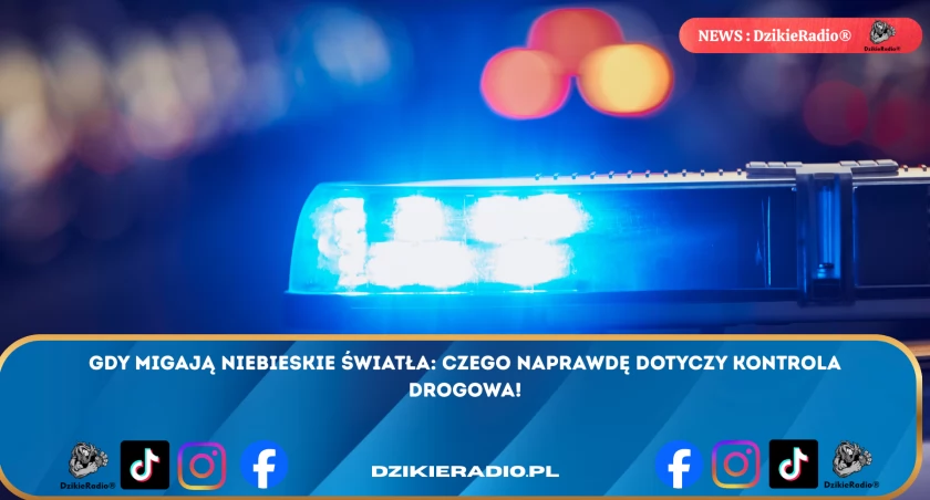 5 Kluczowych Reguł Kontroli Drogowej - Wszystko, Co Powinieneś Wiedzieć o Bezpieczeństwie na Drodze