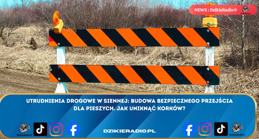 Utrudnienia drogowe w Siennej: budowa bezpiecznego przejścia dla pieszych. Jak uniknąć korków?