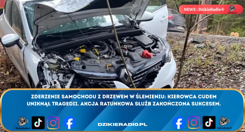 Zimowy wypadek w Ślemieniu. Samochód rozbity o drzewo, kierowca ocalał