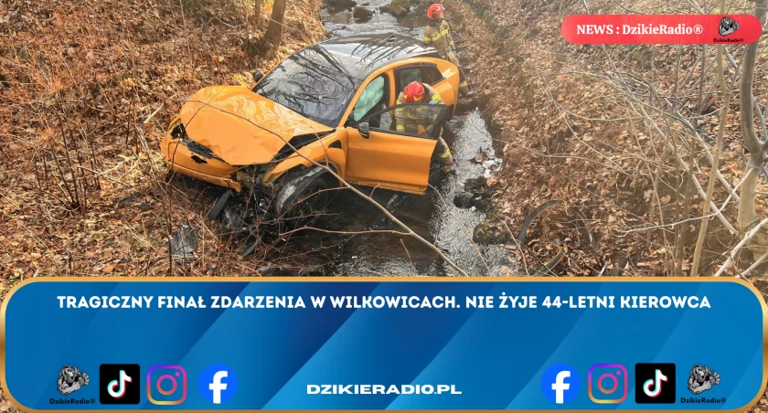Dramatyczne wydarzenie w Wilkowicach: 44-letni mężczyzna ginie po wypadku samochodowym. Jak zakończyła się tragedia?