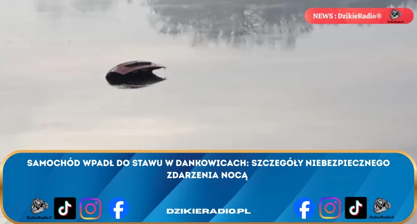 Nocny incydent w Dankowicach. Elektryczny peugeot zakończył jazdę w stawie