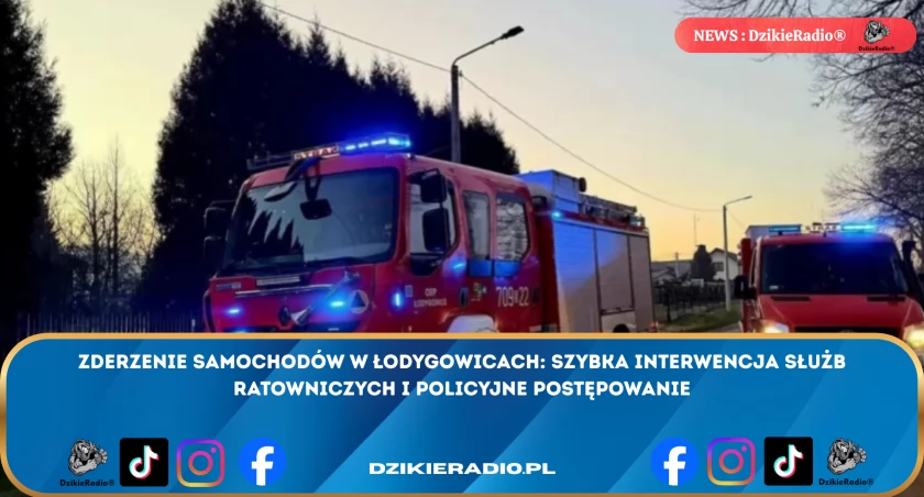 Popołudniowa kolizja w Łodygowicach. Jedna osoba trafiła pod opiekę ratowników