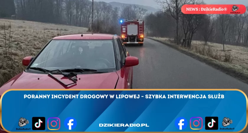 Interwencja na ulicy Jana Pawła II w Lipowej - Szybka Reakcja OSP i Policji na Zdarzenie Drogowe z Dzikim Zwierzęciem