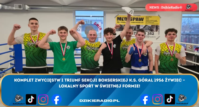 Żywieccy Górale bezbłędni – bokserski wieczór perfekcji