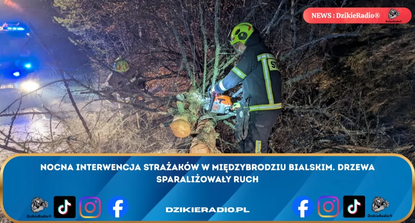 Strażacy z OSP w Międzybrodziu Bialskim usuwają powalone drzewa na ulicy Bielskiej podczas nocnej interwencji - relacja z akcji ratunkowej.