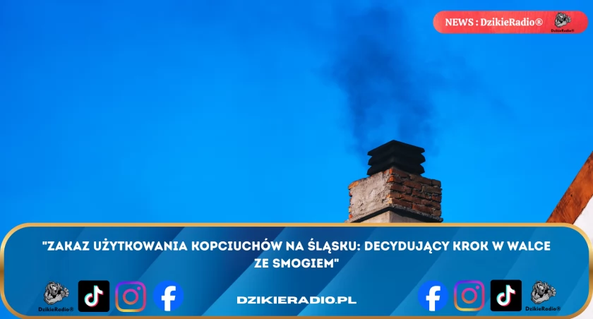 Śląsk zamyka era kopciuchów. Walka o czyste powietrze nabiera tempa 