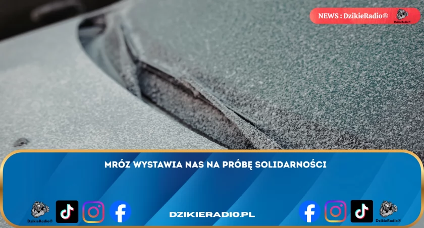 Solidarność w obliczu mrozu: Jak możemy pomóc osobom w potrzebie podczas zimowych nocy?
