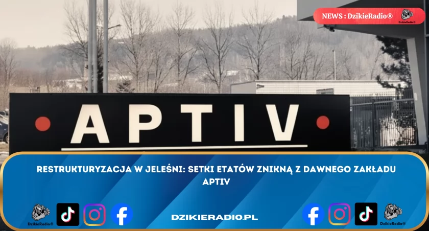 Restrukturyzacja w Jeleśni: setki etatów znikną z dawnego zakładu Aptiv