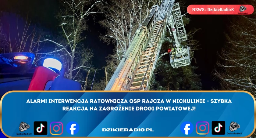 OSP Rajcza podjęła działania ratownicze w Nickulinie: niebezpieczne drzewo zagroziło linii energetycznej!