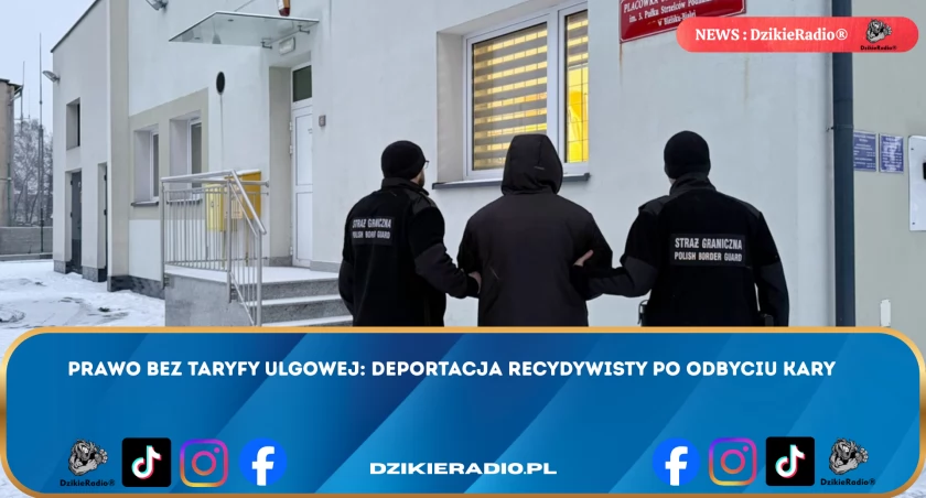 Prawo bez taryfy ulgowej: deportacja recydywisty po odbyciu kary