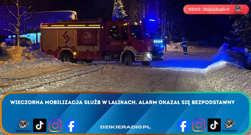 Wieczorna mobilizacja służb w Lalikach. Alarm okazał się bezpodstawny