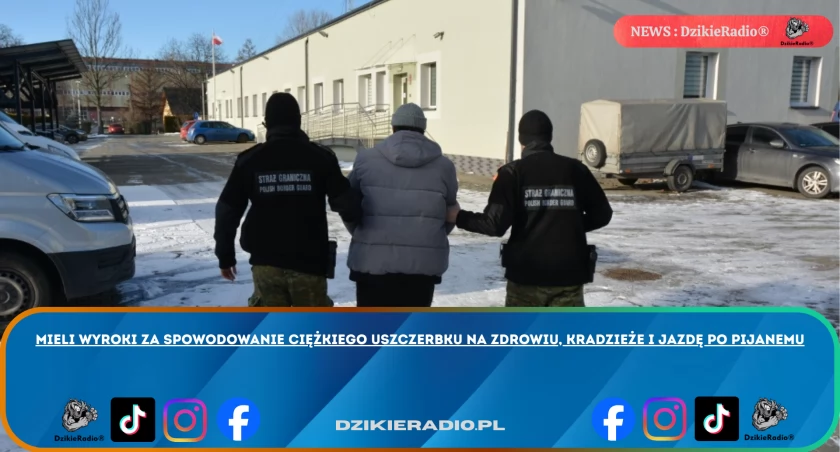 Mieli wyroki za spowodowanie ciężkiego uszczerbku na zdrowiu, kradzieże i jazdę po pijanemu