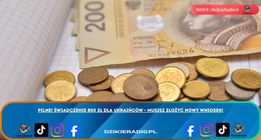 Zmiany w wypłacie świadczenia 800 zł dla Ukraińców: co trzeba wiedzieć?