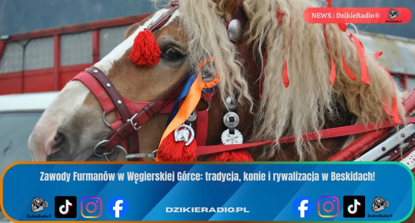 Zawody Furmanów w Węgierskiej Górce: tradycja i emocje w sercu Beskidów.