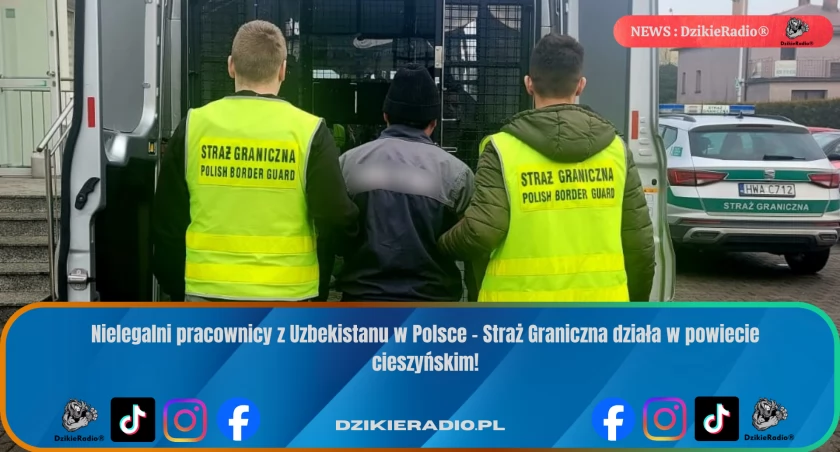 Straż Graniczna zatrzymała 5 nielegalnych pracowników z Uzbekistanu w powiecie cieszyńskim