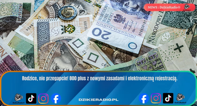 800 plus tylko po nowym wniosku! Sprawdź, jak nie stracić świadczenia