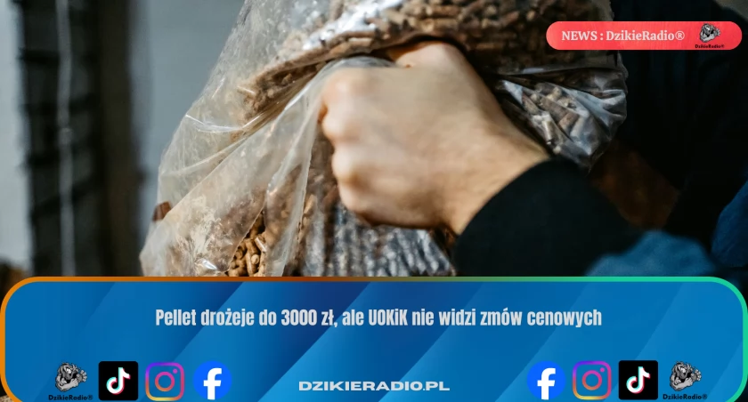 Kryzys pelletowy: rosnące ceny i brak na sklepowych półkach wywołują obawy
