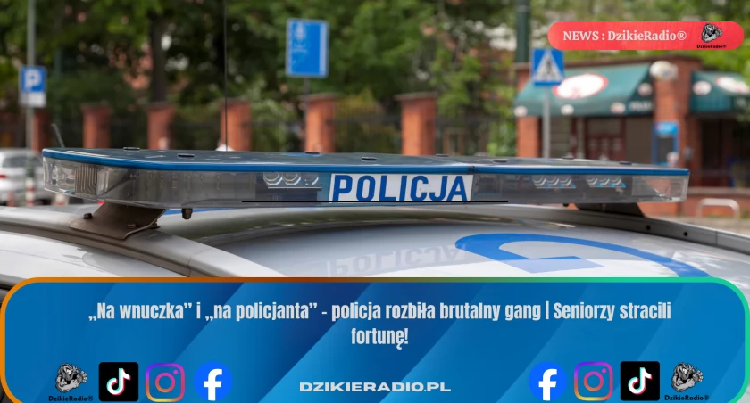 Wielomiesięczne działania policji przeciwko oszustom „na wnuczka” w kilku województwach