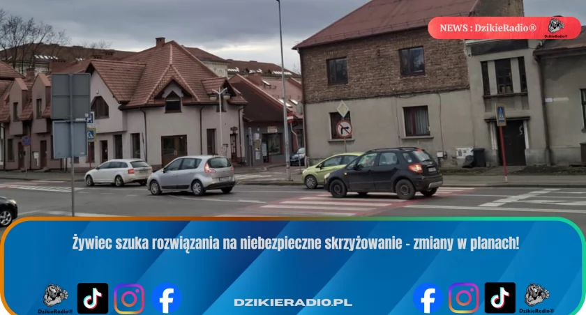 Żywiec szuka rozwiązania na niebezpieczne skrzyżowanie – zmiany w planach!