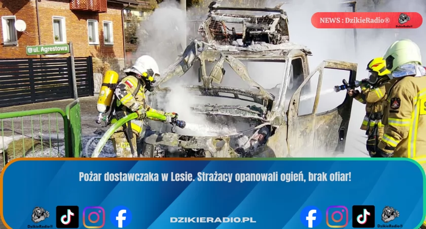 Pożar dostawczaka w Lesie. Strażacy opanowali ogień, brak ofiar