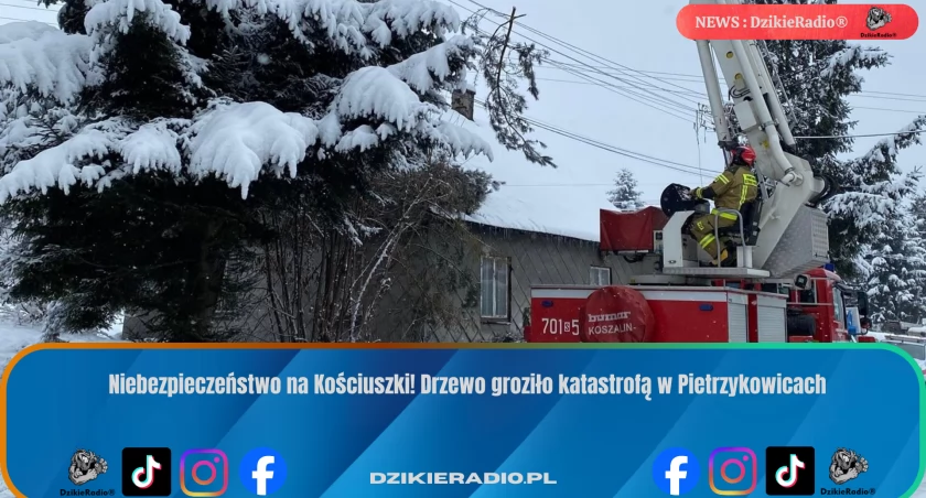 Alarm w Pietrzykowicach: drzewo zagrażało domowi i sieci energetycznej