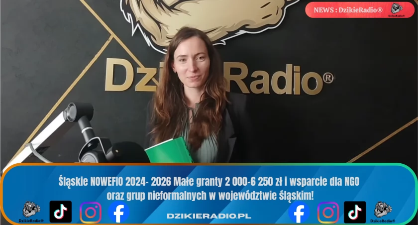 Śląskie NOWEFIO 2024-2026: Program wspierający lokalne inicjatywy społeczne