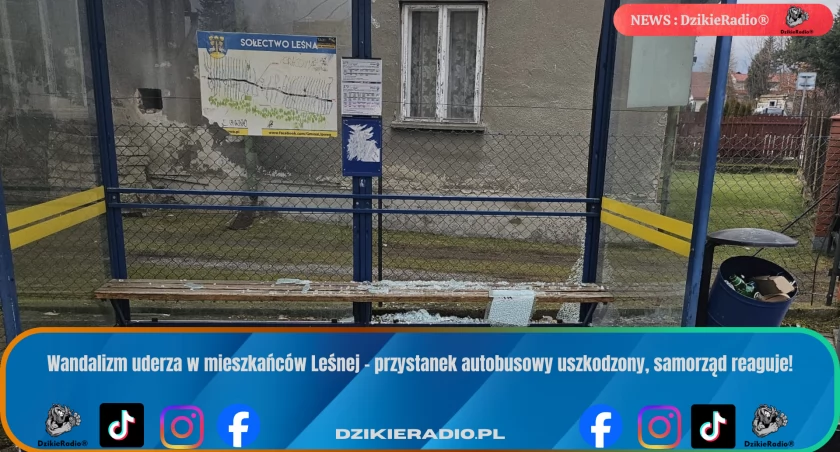Uszkodzono przystanek w Leśnej – samorząd apeluje do sprawców o naprawę szkód