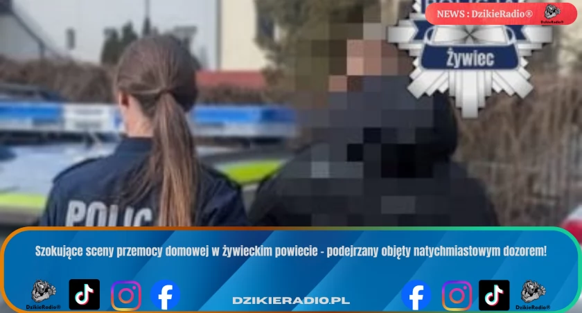 Przemoc domowa w powiecie żywieckim: 33-latek z zarzutami i dozorem policji