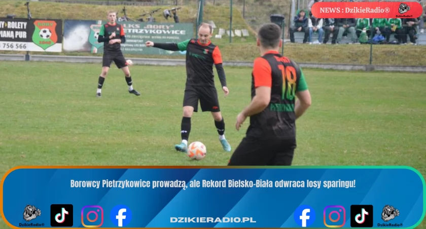 Przewaga Borów Pietrzykowice w początkowej fazie spotkania.